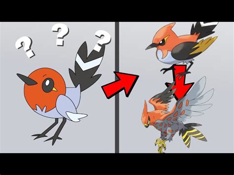 serebii fletchling|fletchling evolution chart.